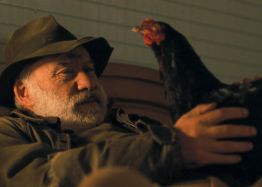 Hen still